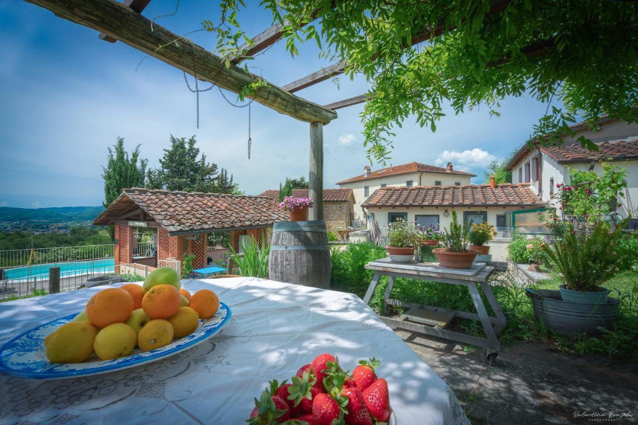 Agriturismo Corzano Barberino di Mugello Exterior foto